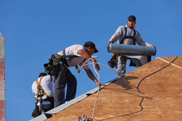 Best Roof Maintenance Services  in Rock Hall, MD